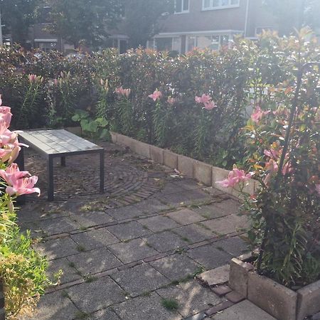 Guesthouse Zandvoort Dış mekan fotoğraf