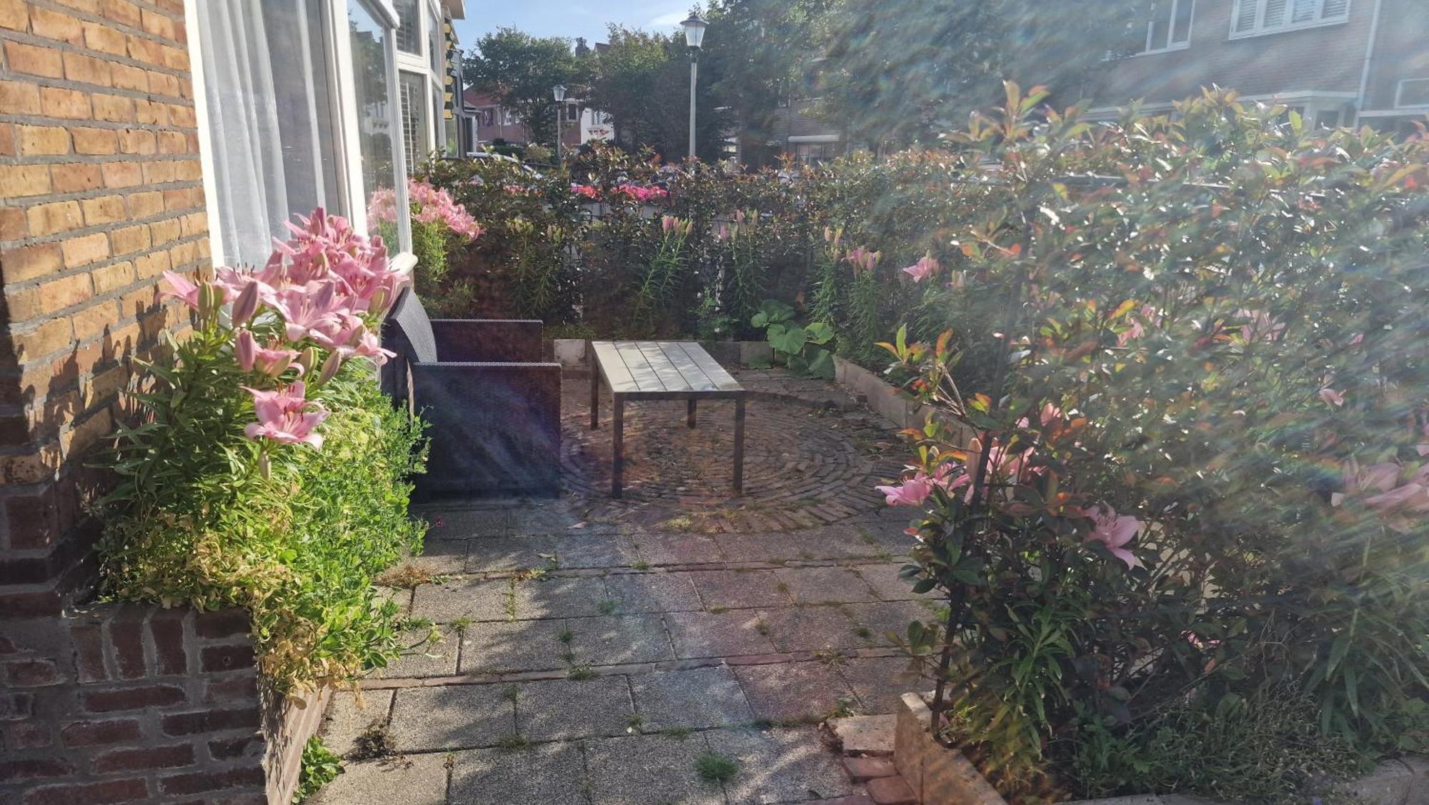 Guesthouse Zandvoort Dış mekan fotoğraf