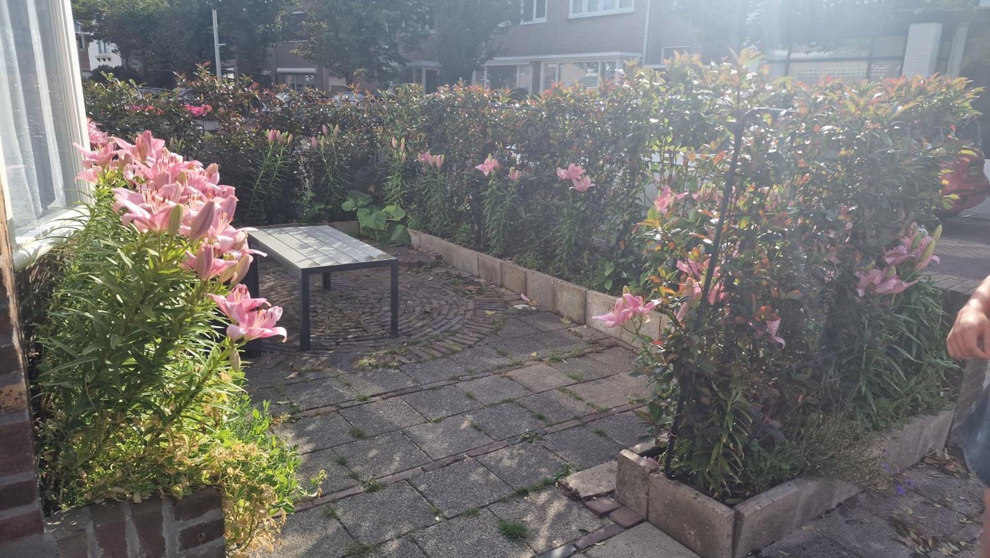 Guesthouse Zandvoort Dış mekan fotoğraf