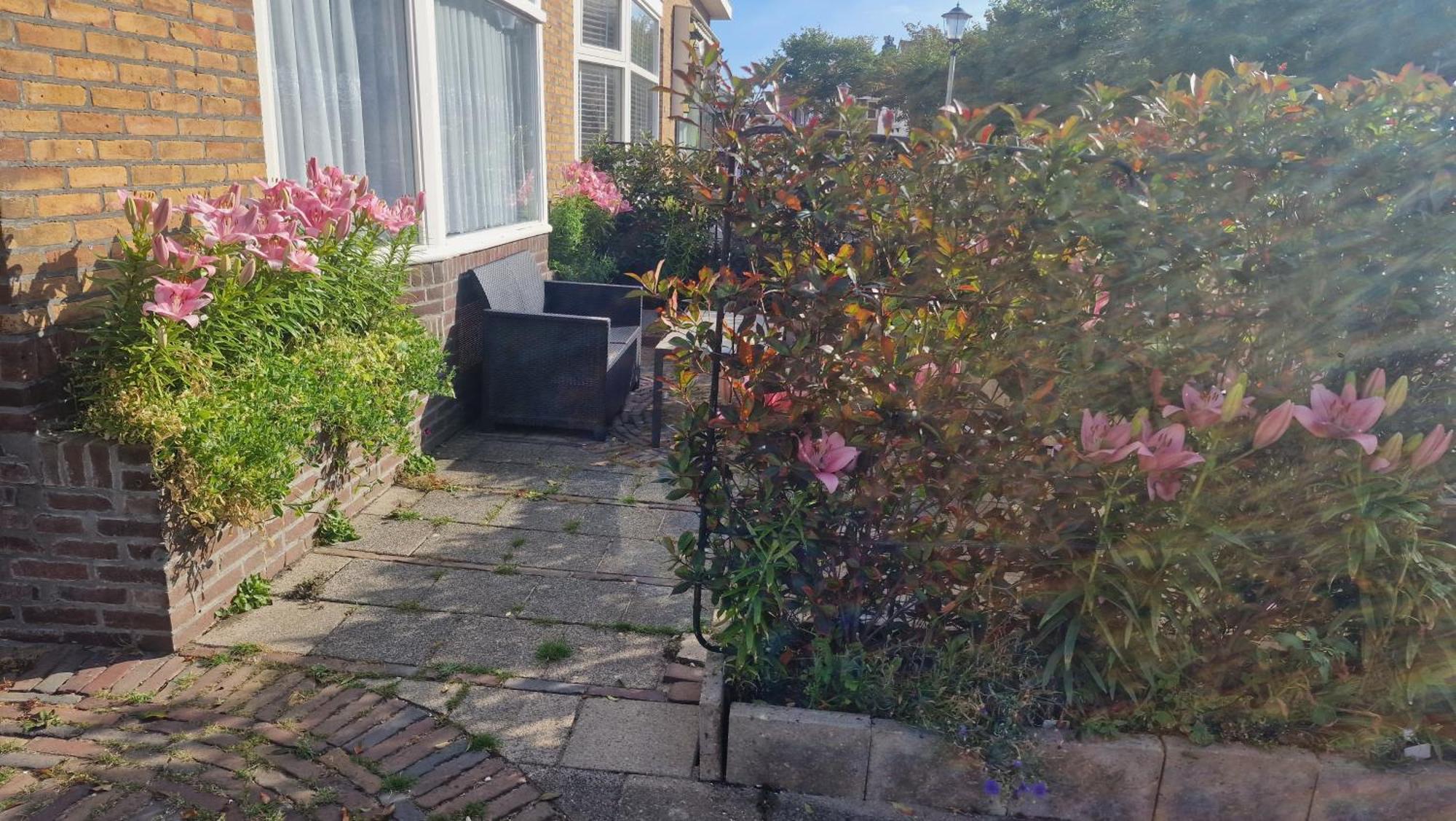 Guesthouse Zandvoort Dış mekan fotoğraf